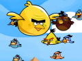 Game Bird Catcher 