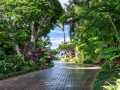 Game Escape from Tropical Estate