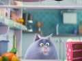 Game The Secret Life Of Pets Spot The Numbers