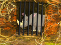 Game Rhino Escape