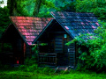 Game Gir Forest Escape