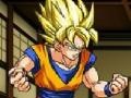 Game Dragonball Martial Arts Room