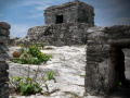 Game Mystery of Mayan Stone Escape