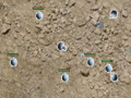 Game Area51 Tower Defense