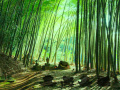 Game Bamboo Forest Monkey Escape