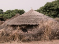 Game Andaman Tribe Island Escape