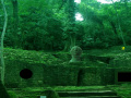 Game Abandoned Mayan Forest Escape