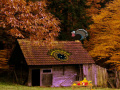 Game Mysterious Turkey Forest Escape 