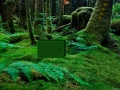 Game Tropical Rain Forest Escape