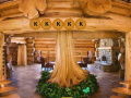 Game Escape from Log House