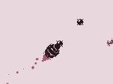 Game The Avian Mortar