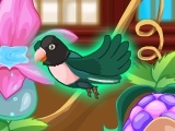 Game My Sweet Bird