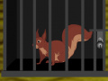 Game Squirrel Cage Escape