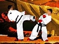 Game TaeKwon-Do