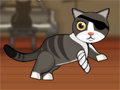 Game Pirate Cat With Broken Leg