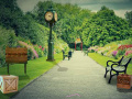 Game Can You Escape The Park