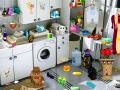 Game Washing Room