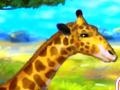 Game Giraffe Zoo