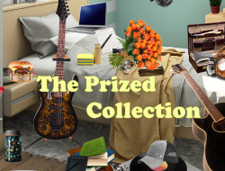 Game The Prized Collection online