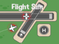 Cluiche Flight Sim