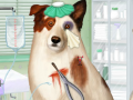 Game Doctor For Dog With a Blog