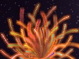 Game Fireworks