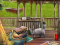 Game Backyard Makeover