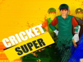 Game Super Cricket      