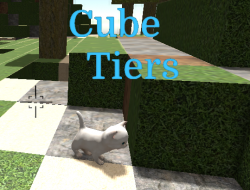 Game Cube Tiers online