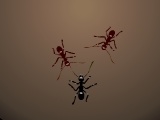 Game Ants Arena