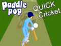 Game Paddle Pop Quick Cricket