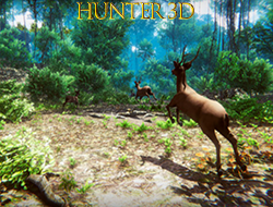 Game Hunter 3D online.