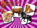 Game Domestic Animal Memory Challenge