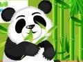 Game Panda Care