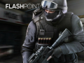 Game Flashpoint