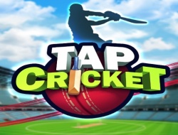 Game Tap Cricket online.