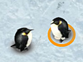 Game Save the egg