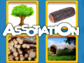 Game Assotiation 