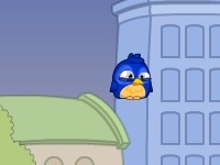 Game Basket bird