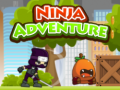 Game Ninja Adventure