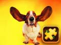 Game Funny Dogs Puzzle online.