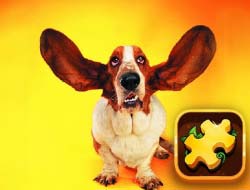 Game Funny Dogs Puzzle online.