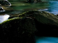 Game Objects in nature