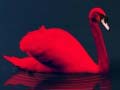 Game Love Birds Puzzle