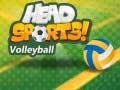 Game Head Sports Volleyball online.