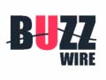 Game Buzz Wire