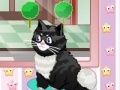 Game Cat Salon