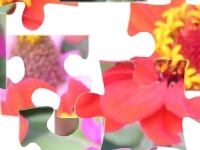 Game Flowers 2