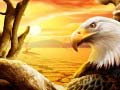 Game Eagle