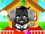 Game Cute Pet Dog